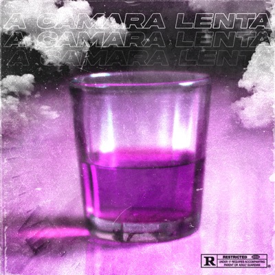 A Camara Lenta (feat. Sebastián Velez & Suggar Timmy) - Single