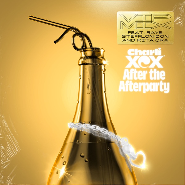 After the Afterparty (feat. Raye, Stefflon Don & Rita Ora) [VIP Mix] - Single - Charli XCX