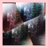 Told You - Single - Markaz