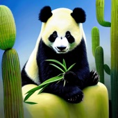 Cactus Panda artwork