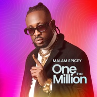 One in a Million - Single - Malam Spicey