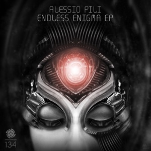Endless Enigma - Single