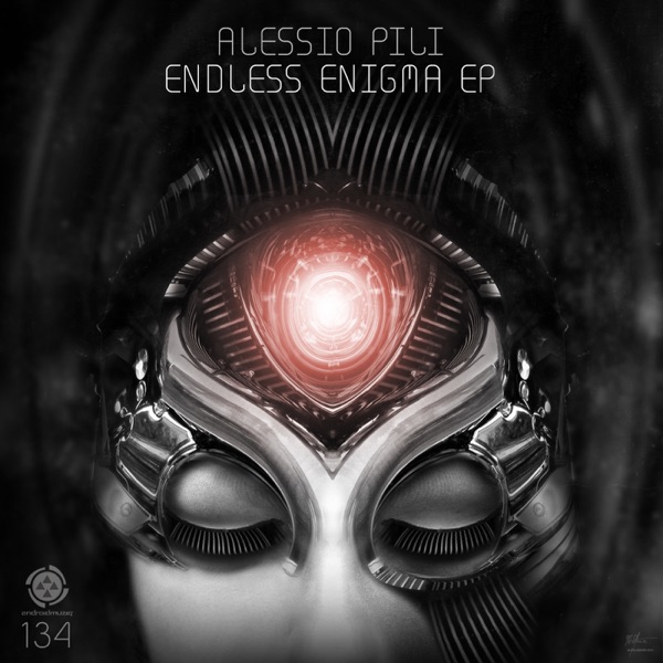 Endless Enigma - Single