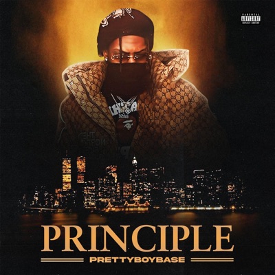 Principle - Single