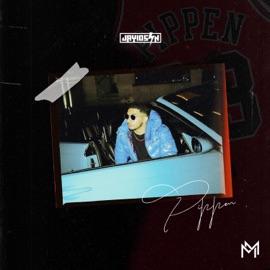 Pippen JAY10szn
