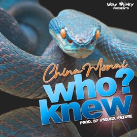 Who Knew China Monai