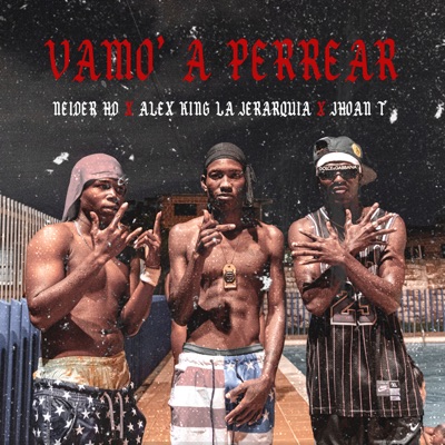 Vamo' a Perrear - Single