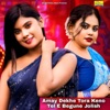 Amay Dekhe Tora Keno Tel E Begune Jolish - Single