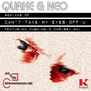 Can't Take My Eyes Off U (Remixes) [feat. Dubnine & Vybz Kartel] - Single