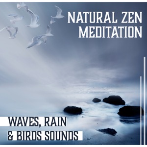 Natural Zen Meditation: Waves, Rain & Birds Sounds, Natural Wonder, Inner Peace, Yoga, Reiki, Chakra Balancing Waves