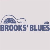 Brooks Williams - I Will Do My Last Singing