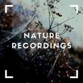 Green Sounds of Nature artwork