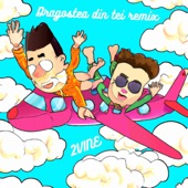 O-Zone - Dragostea Din Tei (2VINE Remix) artwork