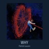 Patrick Lauzon - Why