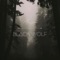 Black Wolf - Mengën lyrics