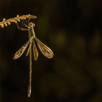 Uçurtma - Single - EVA