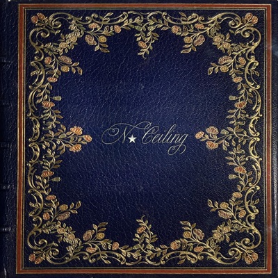 No Ceiling (feat. Embaci) - Single