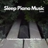 Crickets and Forest Ambience with Piano