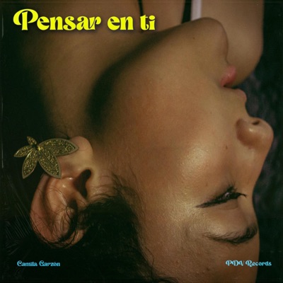 Pensar en ti (feat. Poesia de vida & CAMILA S.G) - Single