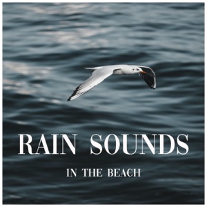 Rain Sounds in the Beach
