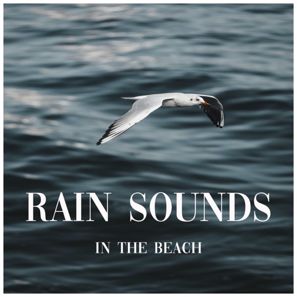 Rain Sounds in the Beach