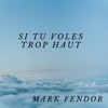 Si tu voles trop haut