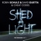 Shed a Light (Oliver Moldan Remix) - Robin Schulz, David Guetta & Cheat Codes lyrics