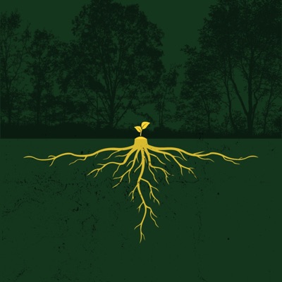 Patience (feat. David Paulis) - Single