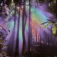 Vox - Single - SXULTAPE VISION