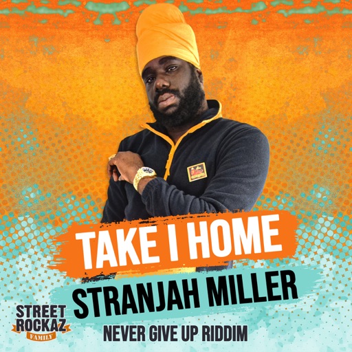 Art for Take I Home by Stranjah Miller