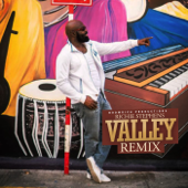 Valley (Afro Beat Remix) - Richie Stephens