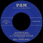 Guitar Blues (Won't You Buy Me a Guitar, Dad?) b/w Lonesome Guitar - Single