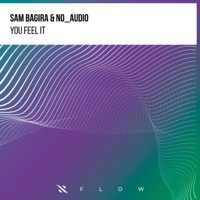 You Feel It - Single - Sam Bagira & No_Audio