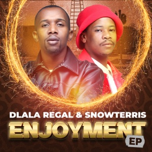 Enjoyment (feat. Scotts Maphuma)