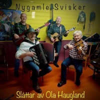 Album cover for Måneskin (feat. Nygamle svisker) by Magnus Skjerdal