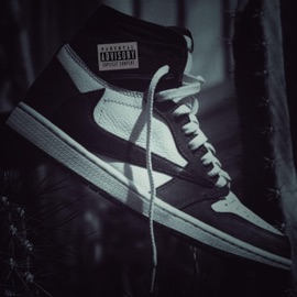 Cactus en mis pies Frank B