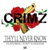 They'll Never Know (feat. Tony Sunshine) - Single