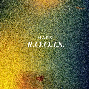 R.O.O.T.S. (feat. CJB, Rain, Kyl, KID Nj, Loe, SXDE, Hoj, Casper Frute & J.Hick$)