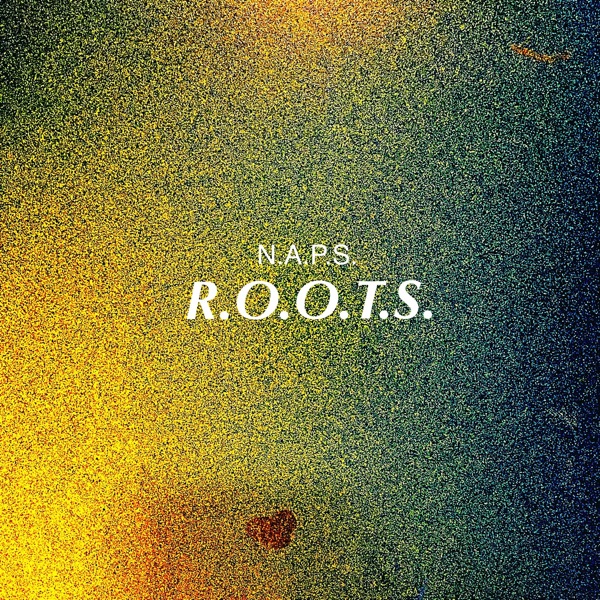 R.O.O.T.S. (feat. CJB, Rain, Kyl, KID Nj, Loe, SXDE, Hoj, Casper Frute & J.Hick$)
