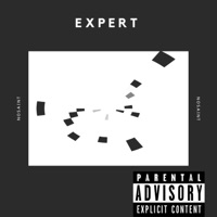 EXPERT - Single - Nosaint