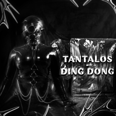 Ding Dong - Single