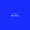 Blue Hours - Bear's Den