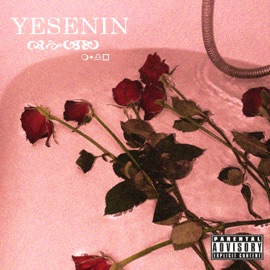 YESENIN DRAINLICH