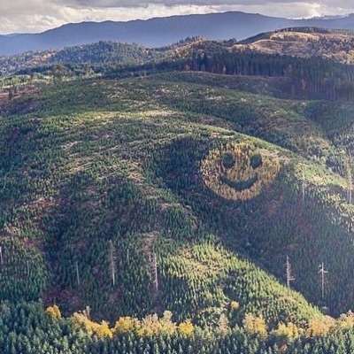 Hvorfor Ikke - Single