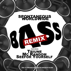 BASS (feat. Triune, Mc Random & Seefor Yourself) [Remix]