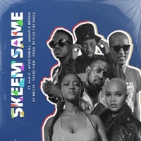 Skeem Same (feat. Mpho Sebina, Amantle Brown, EY Brizzy, Veezo View & Han-C) - Single - Bridge The Music Series