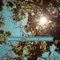 All of You - Sebastian Sternal lyrics