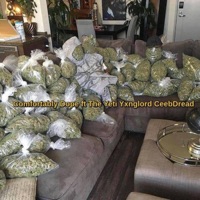 Comfortably Dope (feat. Yxnglord & the Yeti) - Single - Ceeb Dread