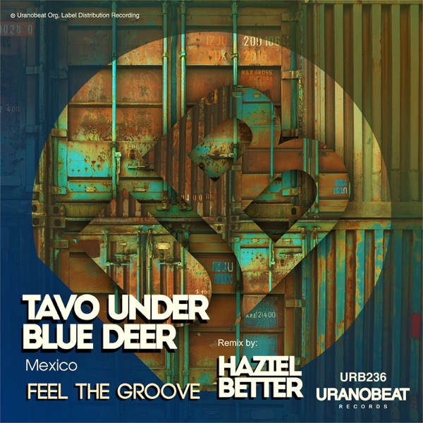 Feel the Groove - Single