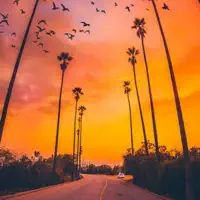 Relax — Jebase